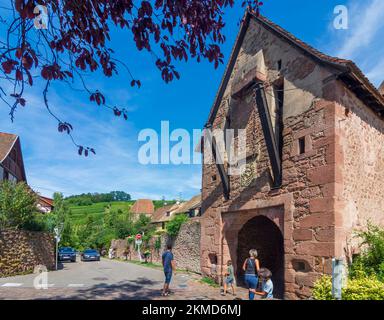 Riquewihr (Reichenweier, Richewihr): Vieille ville, mur de la ville à la tour Dolder en Alsace (Elsass), Haut-Rhin (Oberelsass), France Banque D'Images