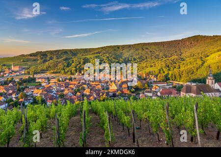 Andlau : village d'Andlau, vignobles, montagnes des Vosges en Alsace (Elsass), Bas-Rhin (Unterelsass), France Banque D'Images