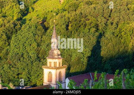 Andlau : église Saint-Pierre-et-Saint-Paul en Alsace (Elssass), Bas-Rhin (Unterelsss), France Banque D'Images