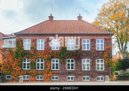 Belle maison de tenement surcultivée avec de l'ivy sauvage à l'automne Danemark Banque D'Images