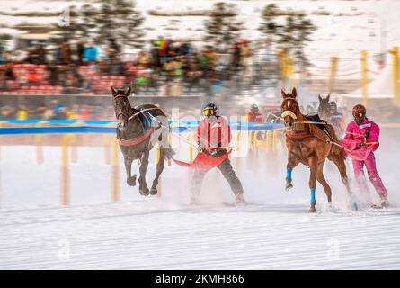 Course de Skijöring pendant le White Turf à St.Moritz, Suisse Banque D'Images