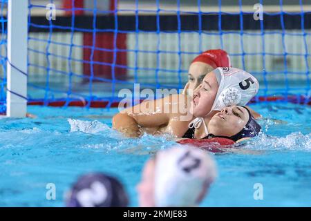 Rome, Italie. 26th novembre 2022. Sofia Giusrini (SIS Roma) pendant SIS Roma vs RN Florentia, Waterpolo Italien série A1 femmes Match à Rome, Italie, 26 novembre 2022 crédit: Agence de photo indépendante/Alamy Live News Banque D'Images