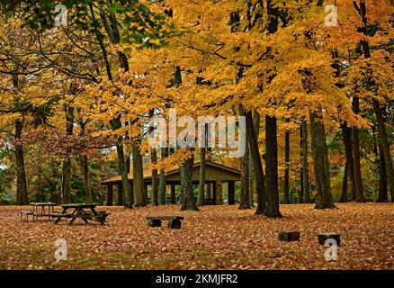 Une aire de repos ou de pique-nique à Titusville, NJ, USA, au parc national de Washington Crossing, avec de beaux arbres d'automne. Sur le site de la traversée de George Washington. Banque D'Images