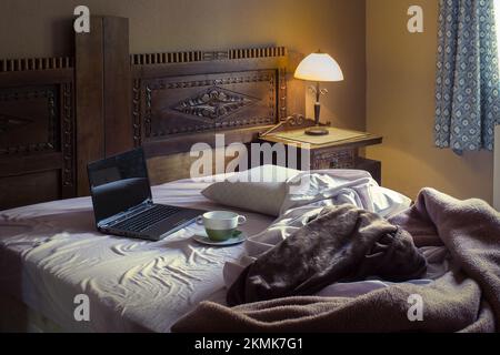 Une chambre rustique avec une tasse de soupe sur une assiette sale à côté d'un ordinateur portable ouvert sur un lit non fait avec des couvertures éclairées par une lampe de chevet et la lumière du soleil Banque D'Images