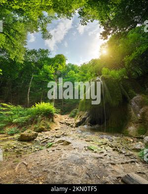 Cascade dans une forêt profonde. Composition de la nature. Banque D'Images