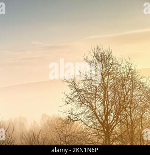 Le soleil brille ce jour d'hiver. Un paysage d'hiver pittoresque. Banque D'Images