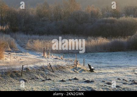 Le soleil brille ce jour d'hiver. Un paysage d'hiver pittoresque. Banque D'Images