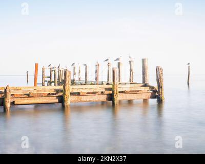 Le reste des piliers et des pôles de port mole dans le village de pêcheurs de Vitt près de Kap Arkona sur l'île de Ruegen, Allemagne Banque D'Images