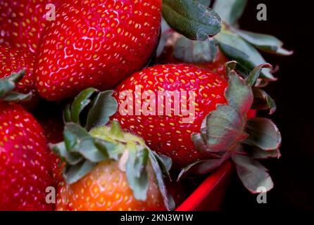 Les fraises juteuses vous permettent des manger à tout moment. couleurs éclatantes Banque D'Images