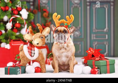 Adorable chien Bulldog français avec bandeau renne déguisé et bois assis à côté de la décoration de Noël devant le mur vert Banque D'Images