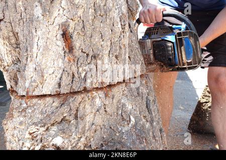 Tronçonneuse en action pour couper le bois. L'ouvrier coupe un tronc d'arbre en rondins avec une scie. Gros plan d'une scie en mouvement, sciure volante sur les côtés. Boiseries Banque D'Images