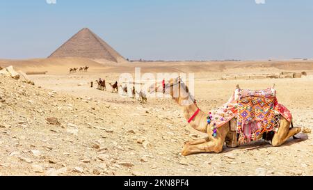 Vue sur la Pyramide Rouge, Dahshur, Égypte. Banque D'Images