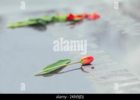 Tulipes rouges sur une stèle à ceux tués pendant la Seconde Guerre mondiale Banque D'Images