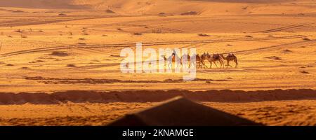 Jordanie, Wadi Rum - 2 novembre 2022: Caravane de chameaux avec des drovers dans le désert, montagnes rocheuses au coucher du soleil Banque D'Images