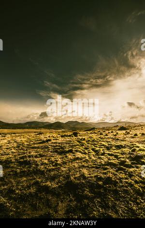 Dans la composition de la nature, un paysage vert de prairie s'ouvre à une scène de montagne éloignée avec des détails atmosphériques. Avoca, Tasmanie, Australie Banque D'Images
