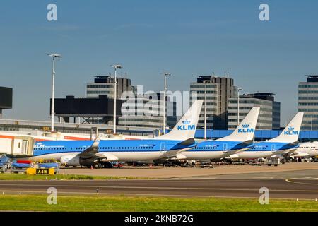 Amsterdam, pays-Bas - août 2022 : rangée de jets KLM garés dans l'un des bâtiments du terminal de l'aéroport de Schipol Banque D'Images