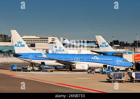 Amsterdam, pays-Bas - août 2022 : les avions KLM sont garés dans l'un des aérogares de l'aéroport de Schipol Banque D'Images