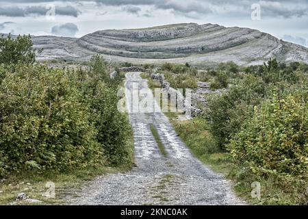 Paysage karstique rugueux et rocheux de Burren dans le comté de Clare dans la partie nord-ouest de la République d'Irlande Banque D'Images