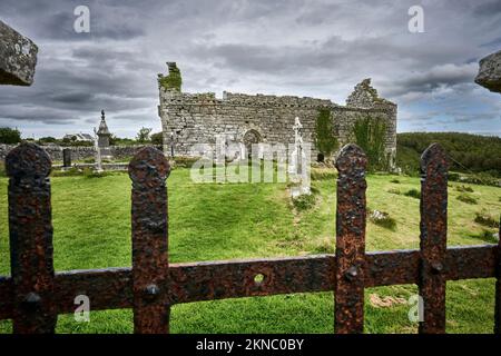 Ruines d'un ancien monastère et cimetière de Kilmacduagh à Gort, comté de Galway, République d'Irlande Banque D'Images