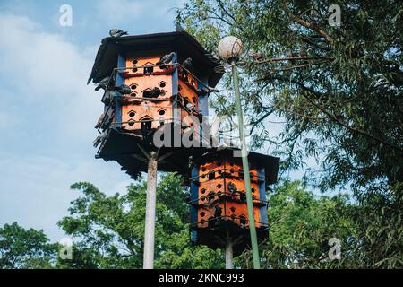 Deux maisons construites par le gouvernement de la ville de Malang pour accueillir des pigeons sur la place de la ville de Malang Banque D'Images