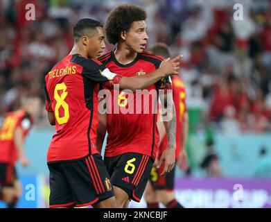 Youri Tielemans de Belgique et Axel Witsel de Belgique photographiés lors d'un match de football entre l'équipe nationale belge les Red Devils et le Maroc, dans le Groupe F de la coupe du monde FIFA 2022 au stade Al Thumama, Doha, État du Qatar, le dimanche 27 novembre 2022. BELGA PHOTO VIRGINIE LEFOUR Banque D'Images