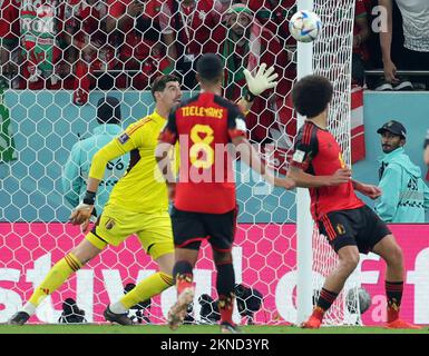 Le gardien de but belge Thibaut Courtois, Youri Tielemans de Belgique et Axel Witsel de Belgique, photographiés en action lors d'un match de football entre l'équipe nationale belge les Red Devils et le Maroc, dans le groupe F de la coupe du monde FIFA 2022 au stade Al Thumama, Doha, État du Qatar, le dimanche 27 novembre 2022. BELGA PHOTO VIRGINIE LEFOUR Banque D'Images