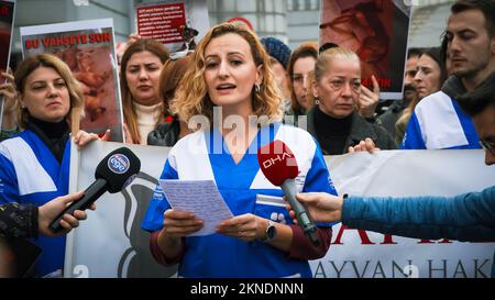 Izmir, Turquie. 27th novembre 2022. Les amoureux des animaux et les activistes qui se sont réunis avec l'appel de la Fédération des droits des animaux à Izmir ont protesté contre les massacres d'animaux en Turquie. Des séquences vidéo contenant une image graphique d'un agent travaillant dans un abri pour animaux appartenant à la municipalité métropolitaine de Konya, torturant et tuant un chien dans le refuge, ont été publiées sur les médias sociaux sur 24 novembre et ont provoqué des réactions dans toute la Turquie. Une enquête a été lancée après les images qui ont causé l'indignation. Deux personnes ont été détenues et arrêtées à la suite de l'enquête. Crédit: İdil Toffolo/Alamy L. Banque D'Images