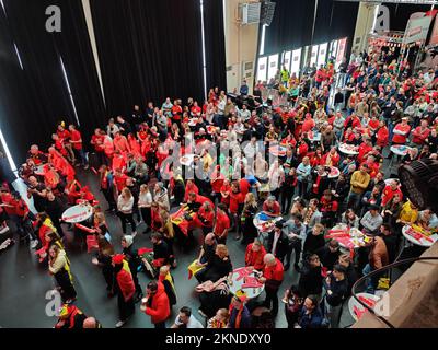 L'illustration montre des supporters belges réunis pour assister au match sur le circuit de course de Wellington Renbaan à Ostende, lors d'un match de football entre l'équipe nationale belge les Red Devils et le Maroc, dans le Groupe F de la coupe du monde FIFA 2022, le dimanche 27 novembre 2022. BELGA PHOTO MAAIKE TIJSSENS Banque D'Images