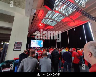 L'illustration montre des supporters belges réunis pour assister au match sur le circuit de course de Wellington Renbaan à Ostende, lors d'un match de football entre l'équipe nationale belge les Red Devils et le Maroc, dans le Groupe F de la coupe du monde FIFA 2022, le dimanche 27 novembre 2022. BELGA PHOTO MAAIKE TIJSSENS Banque D'Images