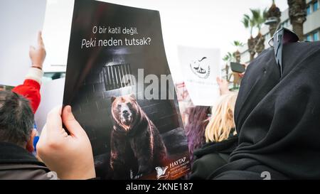 Izmir, Turquie. 27th novembre 2022. Les amoureux des animaux et les activistes qui se sont réunis avec l'appel de la Fédération des droits des animaux à Izmir ont protesté contre les massacres d'animaux en Turquie. Des séquences vidéo contenant une image graphique d'un agent travaillant dans un abri pour animaux appartenant à la municipalité métropolitaine de Konya, torturant et tuant un chien dans le refuge, ont été publiées sur les médias sociaux sur 24 novembre et ont provoqué des réactions dans toute la Turquie. Une enquête a été lancée après les images qui ont causé l'indignation. Deux personnes ont été détenues et arrêtées à la suite de l'enquête. Crédit: İdil Toffolo/Alamy L. Banque D'Images