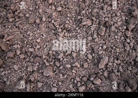 La texture de champ de tourbe de sol écrasée brune peut être utilisée comme papier peint de fond Banque D'Images