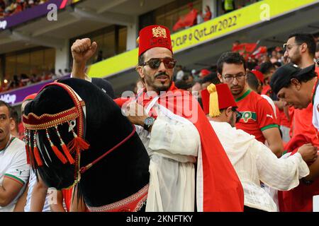 Les fans marocains assistent au match Belgique / Maroc de la coupe du monde de la Fifa Qatar 2022 au stade Al Thumama à Doha, Qatar sur 27 novembre 2022. Photo de Laurent Zabulon/ABACAPRESS.COM Banque D'Images