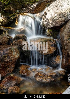 Petite cascade en pierre profonde dans la forêt de l'Idaho Banque D'Images