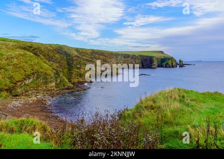 Vue sur les falaises le long de la côte, avec le point de départ d'Ossi et la baie de Windwick. Île de South Ronaldsay, Orkney Islands, Écosse, Royaume-Uni Banque D'Images