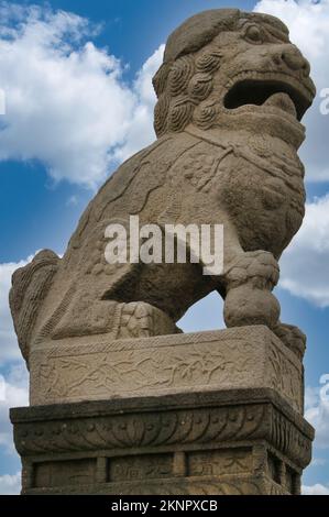 Russie, St. Saint-Pétersbourg, statue chinoise représentant un lion transporté à Saint-Pétersbourg Petersbourg de la ville de Jilin en Manchurie en 1907 Banque D'Images