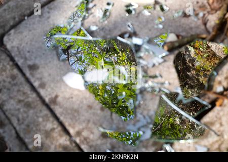 Plusieurs pièces de miroir brisé sur une dalle de béton gris. Réflexion sur les arbres verts. Déchets à l'extérieur. problème de pollution. de nombreux morceaux de verre réfléchissantes Banque D'Images