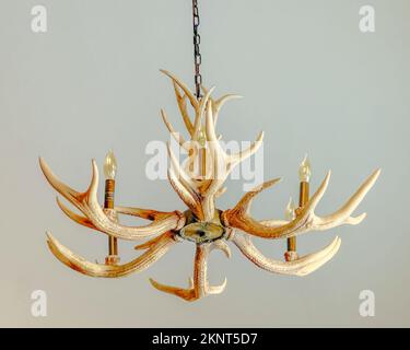 Chandelier typique trouvé dans les maisons dans les zones de chasse avec la vie sauvage. Ce luminaire est un faux bois ou une corne de cerf. Il est suspendu au plafond de la chaîne. Banque D'Images