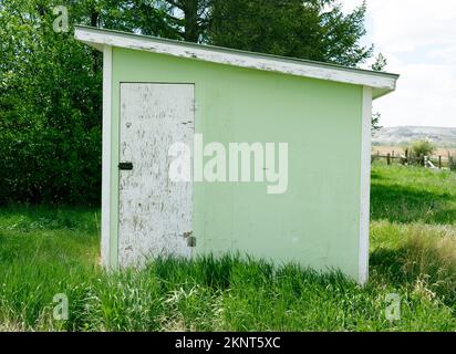 Ancien hangar de stockage peint en bois vert sur la propriété de la ferme avec de l'herbe verte haute croissance. La peinture s'écaille, la garniture et la porte sont peintes en blanc. Inclinés de toit. Banque D'Images