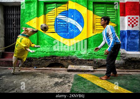 Kolkata, Inde. 26th novembre 2022. Un chien du Labrador dans un maillot du Brésil et un homme portant un maillot de l'Argentine ont vu jouer au football devant un mur de graffitis lors de la célébration de la coupe du monde de la FIFA 2022 à Kolkata. Crédit : SOPA Images Limited/Alamy Live News Banque D'Images