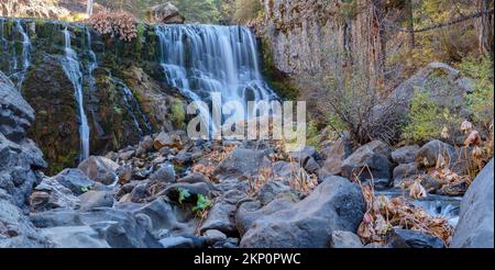 Panorama des Middle Falls sur la rivière McCloud dans la forêt nationale de Shasta Trinity, Californie, États-Unis Banque D'Images