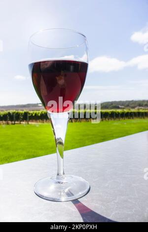 Verre de vin de vignoble rempli de shiraz rouge sur la table du restaurant. Dégustation de vins Banque D'Images