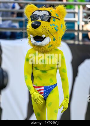 Jacksonville, Floride, États-Unis. 27th novembre 2022. Jaxson de ville, la mascotte des Jacksonville Jaguars lors d'un match entre les Baltimore Ravens et les Jacksonville Jaguars à Jacksonville, Floride. Roméo T Guzman/CSM/Alamy Live News Banque D'Images