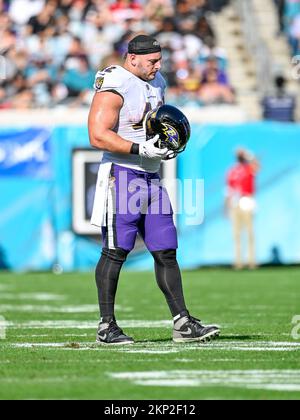 Jacksonville, Floride, États-Unis. 27th novembre 2022. Baltimore Ravens fullback Patrick Ricard (42) lors d'un match contre les Jacksonville Jaguars à Jacksonville, FL. Roméo T Guzman/CSM/Alamy Live News Banque D'Images