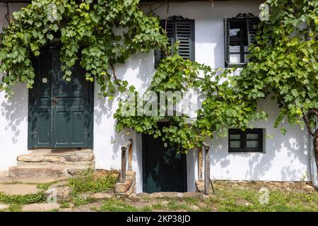 Maison d'hôtes traditionnelle Viscri avec ivy en Transylvanie, Roumanie Banque D'Images