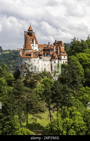 Château de Bran, connu sous le nom de Château de Dracula, dans le village de Bran, Transylvanie, Roumanie Banque D'Images