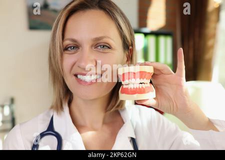 Médecin dentiste tenant dans les mains modèle artificiel de la mâchoire humaine Banque D'Images