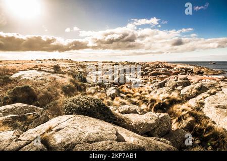 Magnifique côte rocheuse située sur la côte nord-est de la pittoresque Bay of Fires de Tasmanie, en Australie Banque D'Images