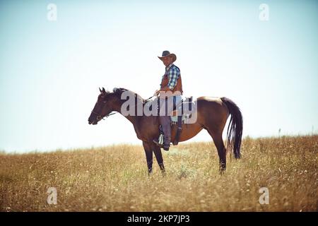 Yeeha. Portrait complet d'un homme mature sur un cheval dans un champ. Banque D'Images