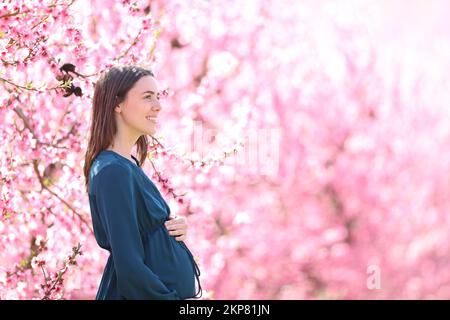 Profil d'une femme enceinte sur fond rose Banque D'Images