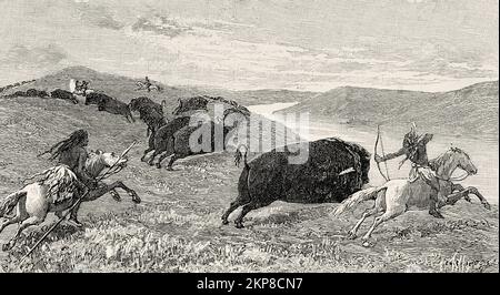 Chasse au bison par les Redskins à cheval, États-Unis. Ancienne illustration gravée du 19th siècle de la nature 1890 Banque D'Images